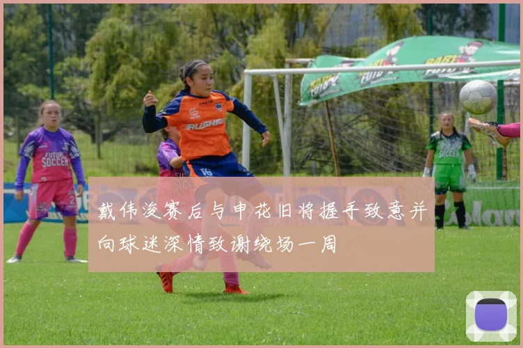 戴伟浚赛后与申花旧将握手致意并向球迷深情致谢绕场一周