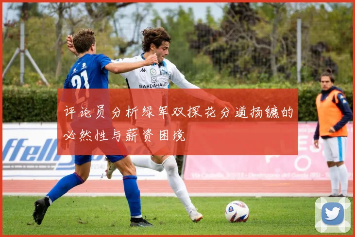 评论员分析绿军双探花分道扬镳的必然性与薪资困境
